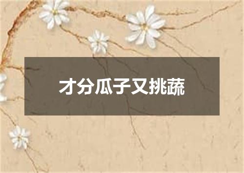 才分瓜子又挑蔬
