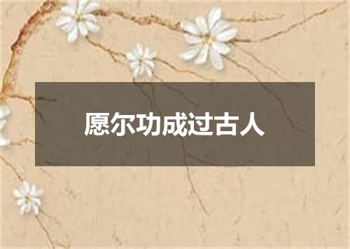 愿尔功成过古人