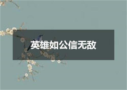 英雄如公信无敌