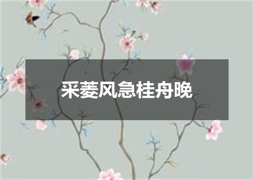 采菱风急桂舟晚