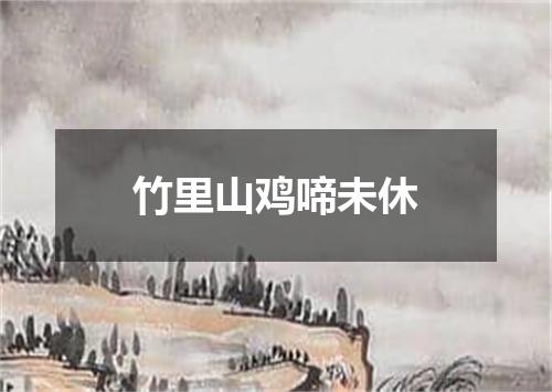 竹里山鸡啼未休