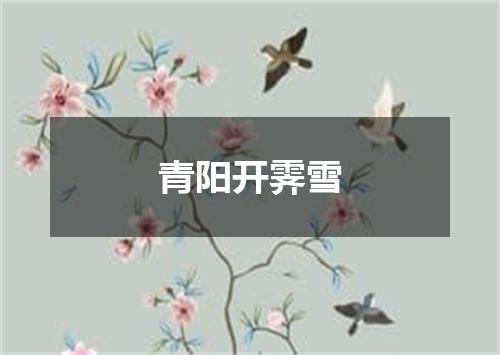 青阳开霁雪