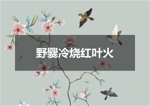 野爨冷烧红叶火
