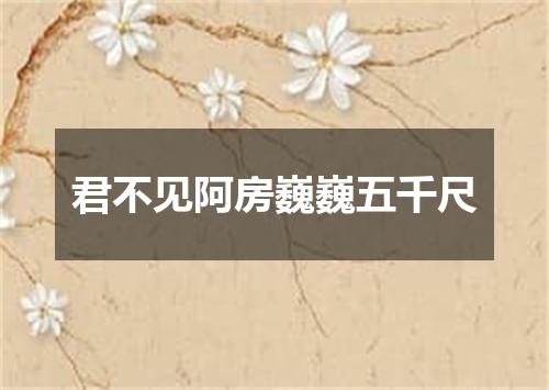 君不见阿房巍巍五千尺