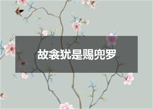 故衾犹是赐兜罗