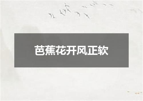 芭蕉花开风正软