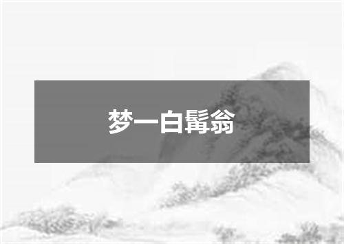 梦一白髯翁