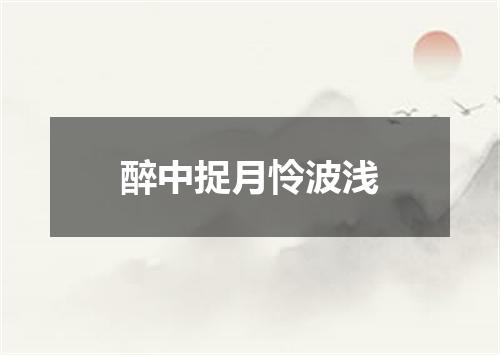 醉中捉月怜波浅