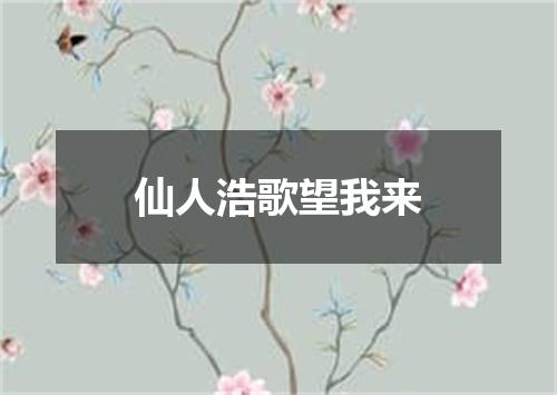 仙人浩歌望我来