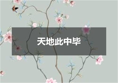 天地此中毕