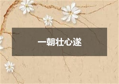 一朝壮心遂