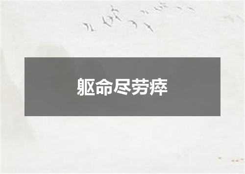 躯命尽劳瘁