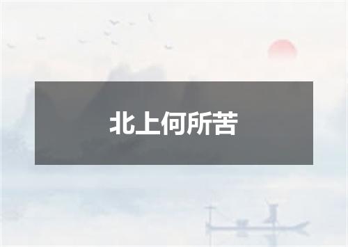 北上何所苦