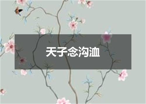天子念沟洫