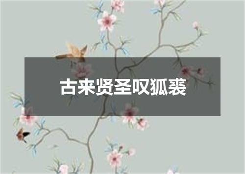 古来贤圣叹狐裘