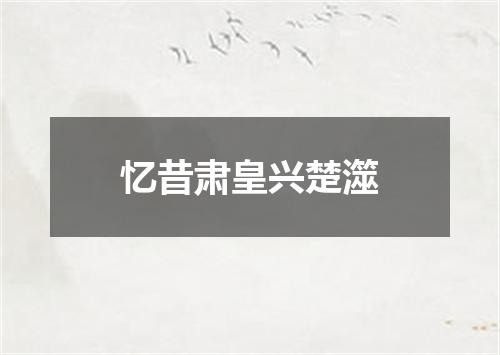 忆昔肃皇兴楚澨