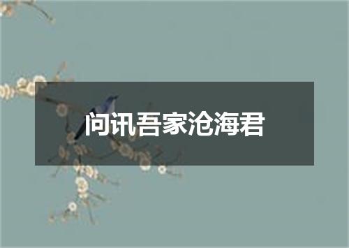 问讯吾家沧海君