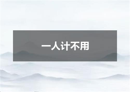 一人计不用