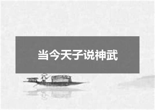 当今天子说神武