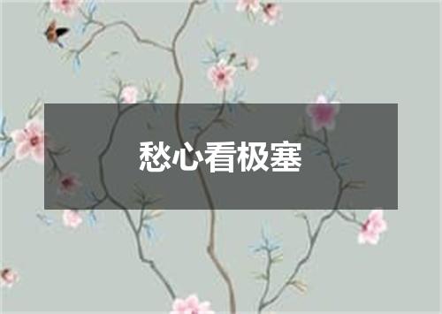 愁心看极塞