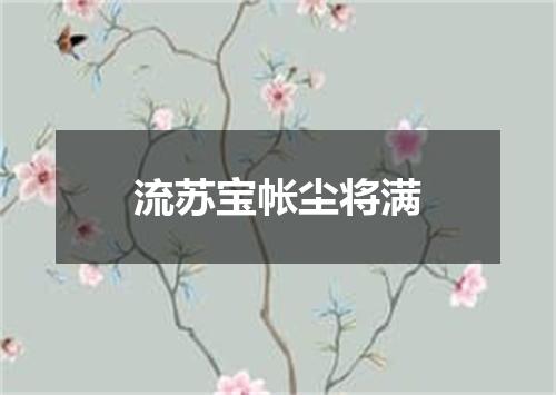流苏宝帐尘将满