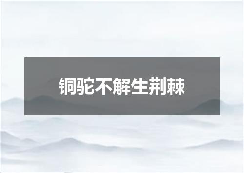 铜驼不解生荆棘