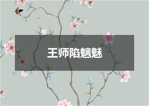 王师陷魑魅