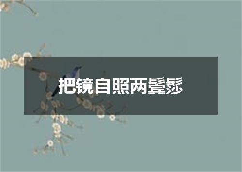 把镜自照两鬓髿