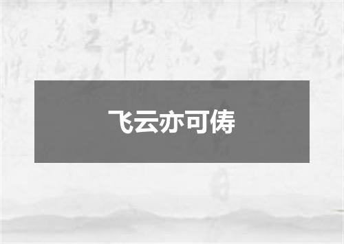 飞云亦可俦