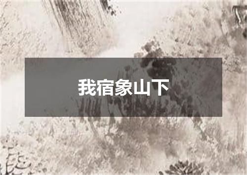 我宿象山下