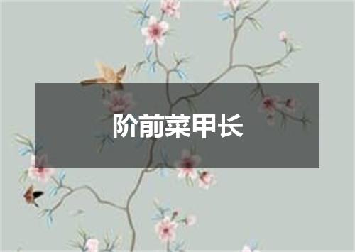 阶前菜甲长