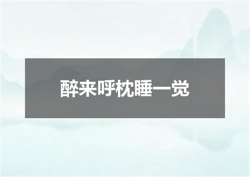 醉来呼枕睡一觉