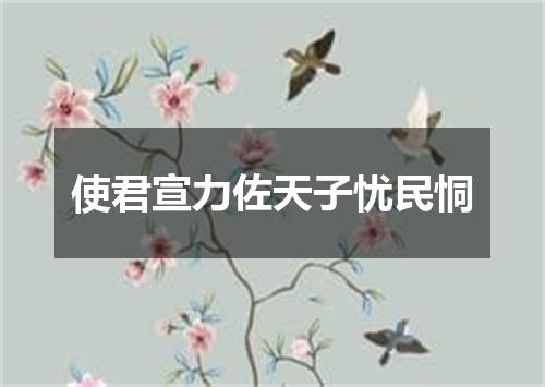 使君宣力佐天子忧民恫