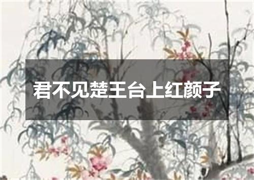 君不见楚王台上红颜子