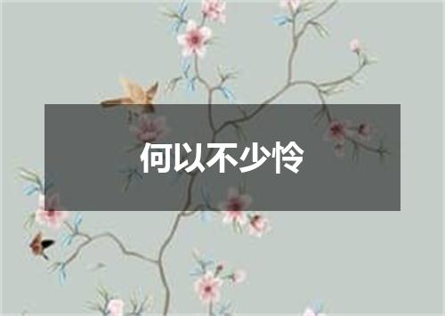 何以不少怜