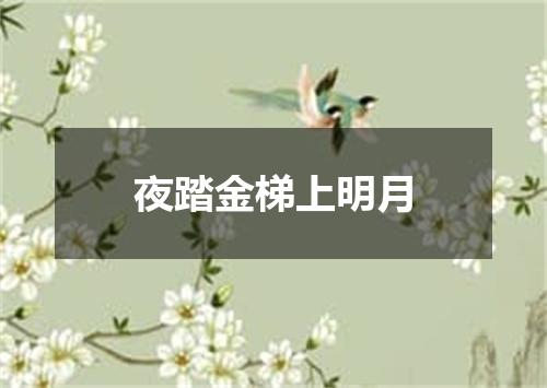 夜踏金梯上明月