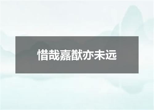 惜哉嘉猷亦未远