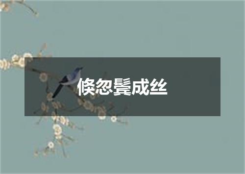 倏忽鬓成丝