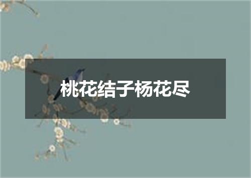 桃花结子杨花尽