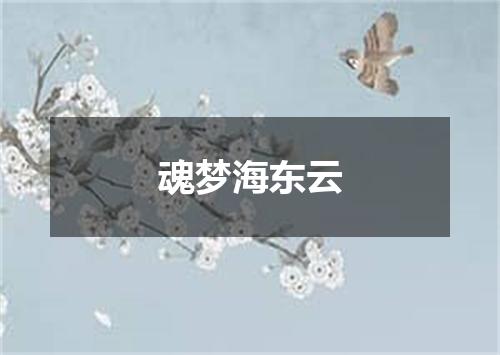 魂梦海东云