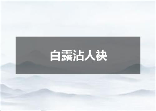白露沾人袂