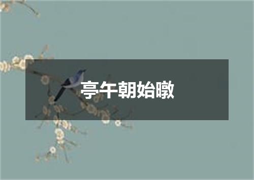 亭午朝始暾