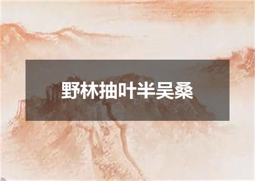 野林抽叶半吴桑