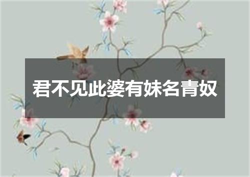 君不见此婆有妹名青奴