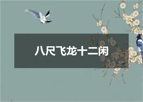 八尺飞龙十二闲