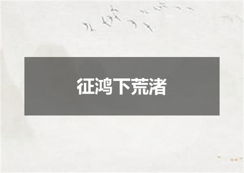 征鸿下荒渚