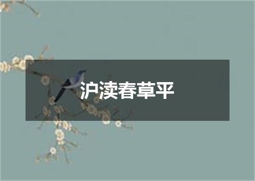 沪渎春草平