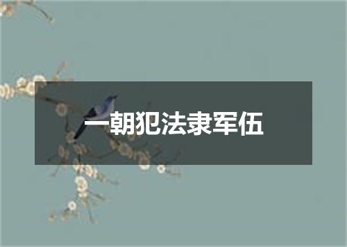 一朝犯法隶军伍
