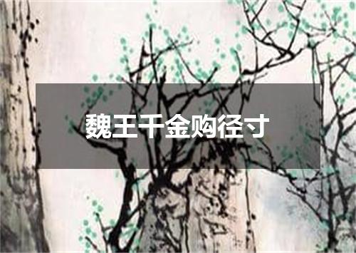 魏王千金购径寸
