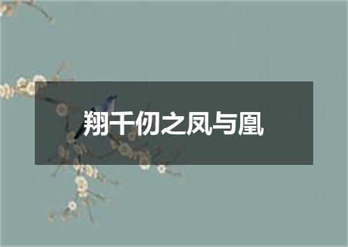 翔千仞之凤与凰